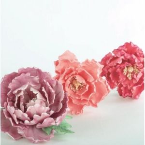 Kit 7 cutters - Peonia