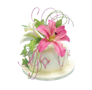 PME Lily Plunger Cutter set BIG set/2